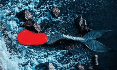 Pin de Valentina De Faría en Oceans and mermaids en 2020 Sirenas